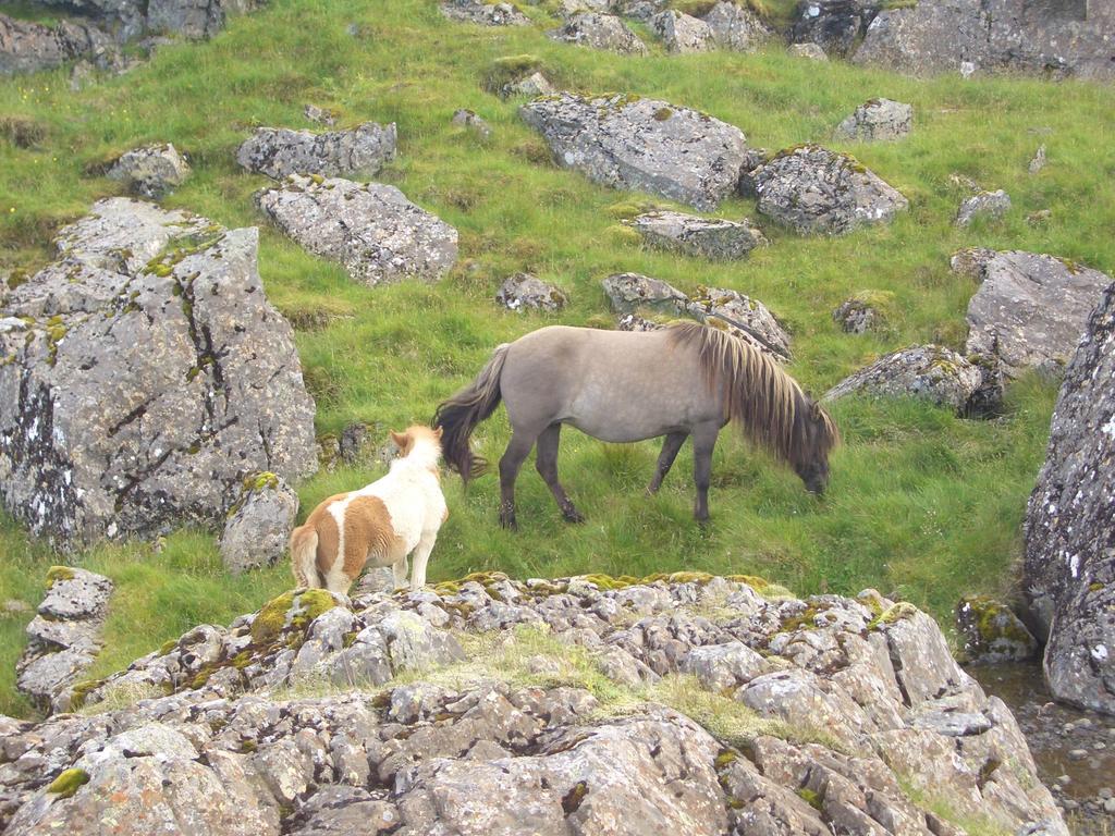 Lon Thorgeirsstadir